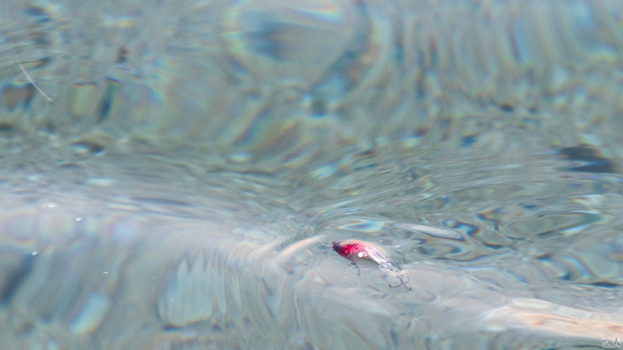 クランクベイトのストップ＆ゴー