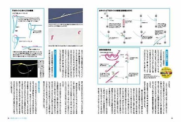 CS-001-arioka-AYU