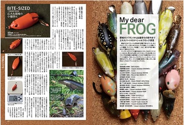 CS-003-raigyo-magazine