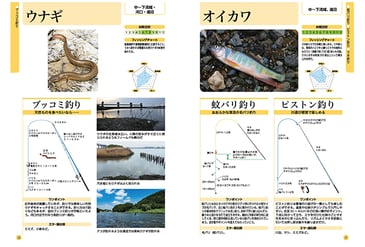 CS-003-tsurinoSHIKAKE