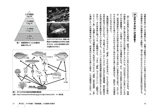 CS-004-sakana-hetta_1