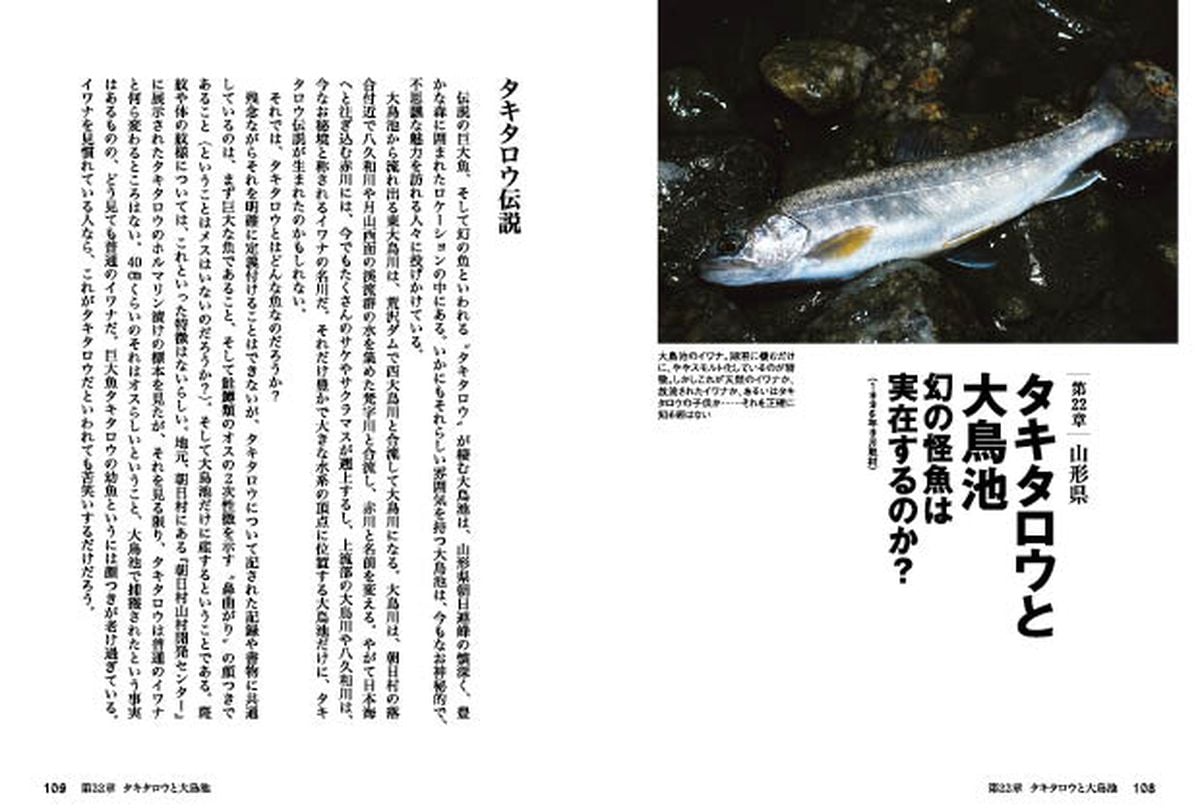 瀬戸際の渓魚たち 増補版』 西日本編＆東日本編、好評発売中！ | 月刊つり人ブログ