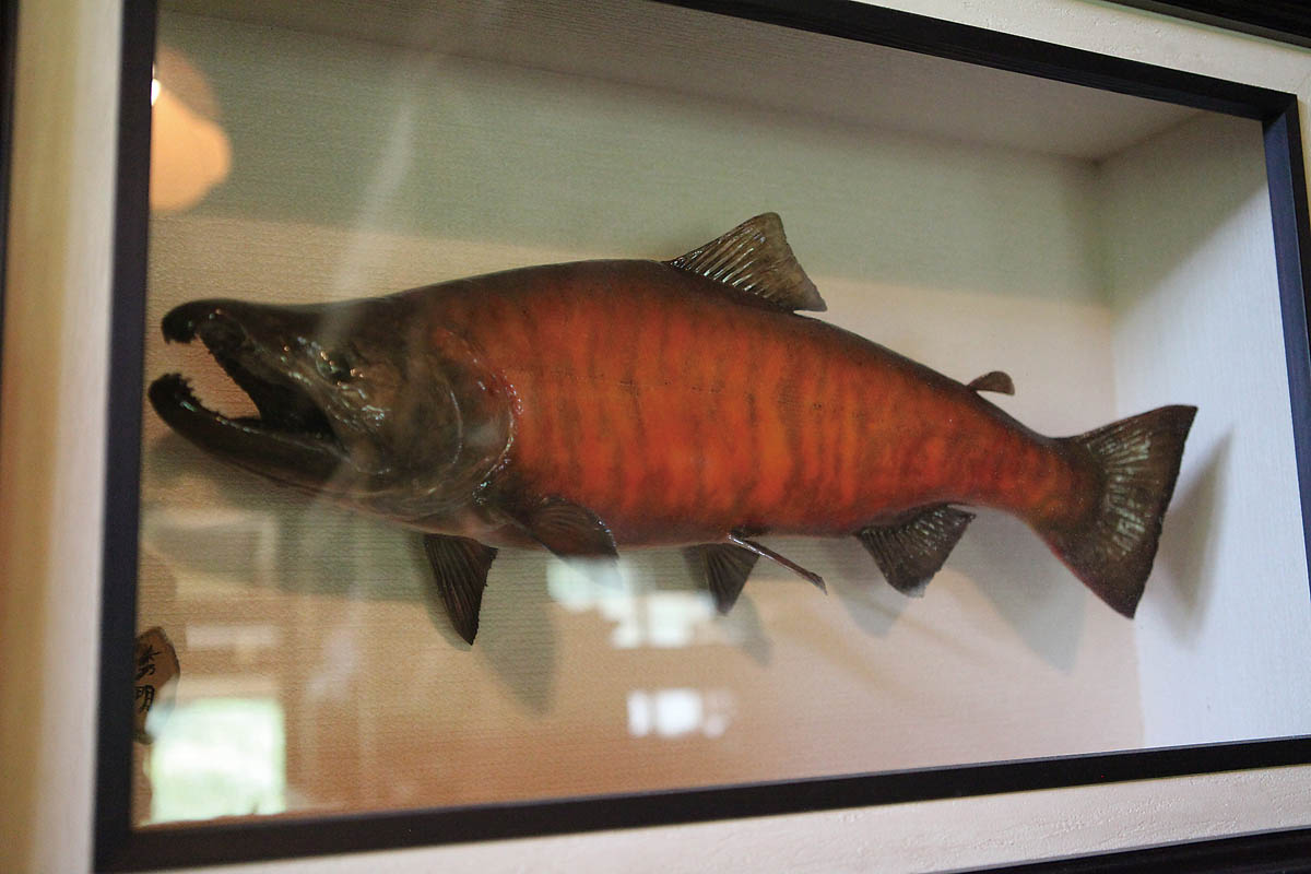 大物がねらえる渓流ベスト5 福島県・只見川／月刊『つり人』編集部が