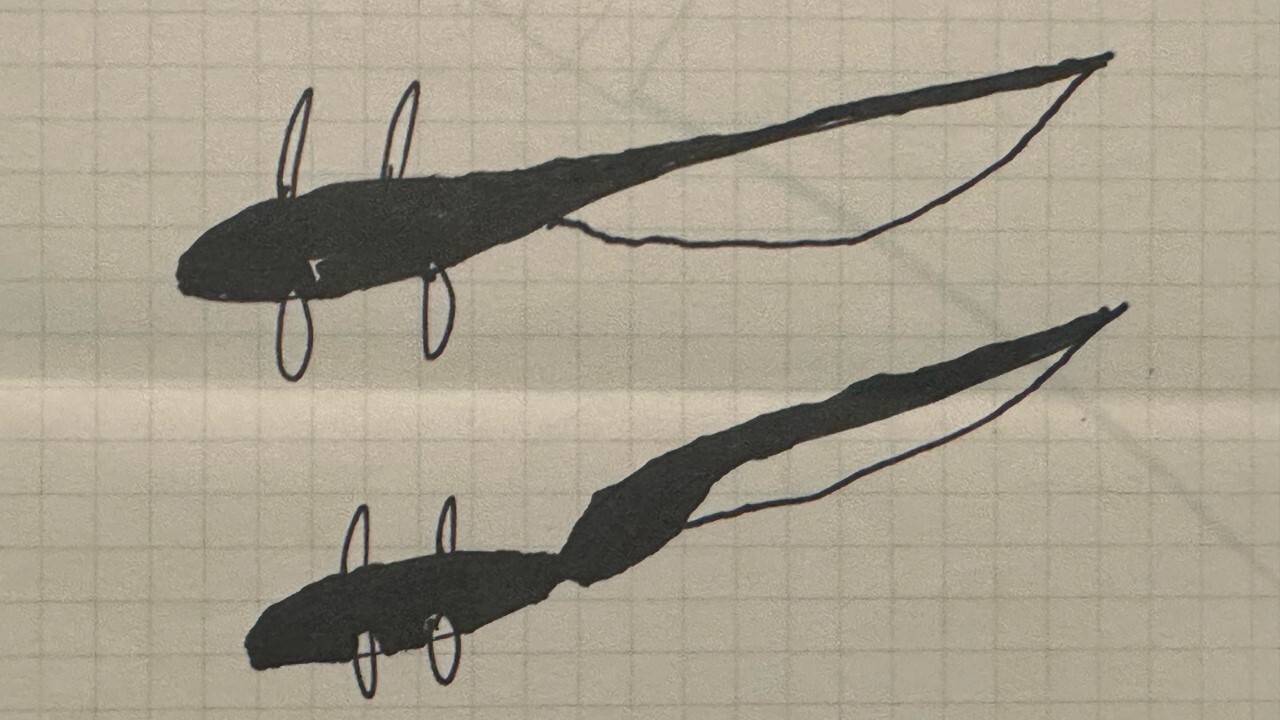 DBユーマカスミの手書きイラスト