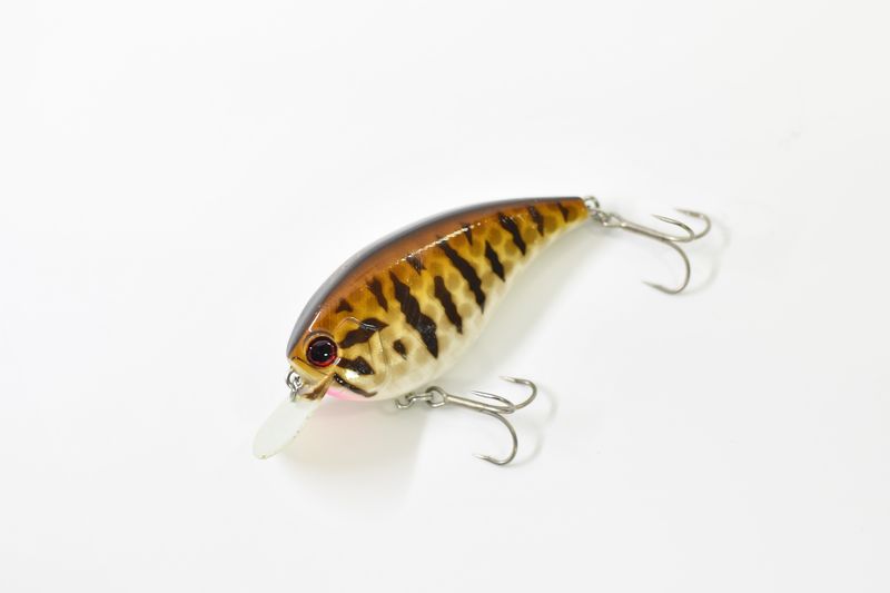 ウォーリアーツアー　TCSC-65M美品　エバーグリーン　モリゾー　清水盛三 エバーグリーン(EVERGREEN) コンバットスティック タクティクス