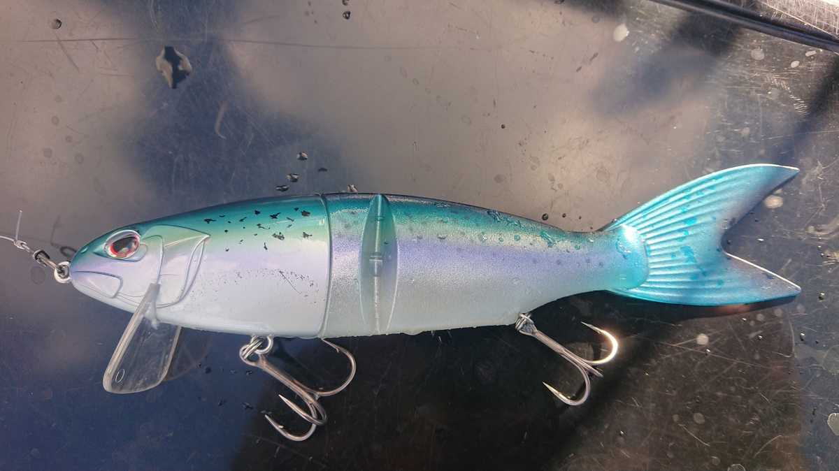 ロクマル実績多 亀山湖 池原 七色 貴重 バラム 245 マッドネス BALAM