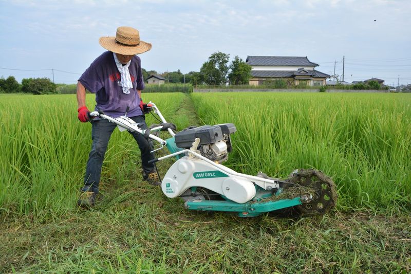令和3年度産 魚沼産地域 こしいぶき 脱ネオニコ米 殺虫剤不使用