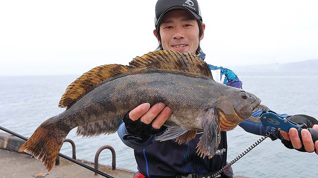 厳選！ 海のルアー釣りおすすめ釣り場 北海道編・室蘭港／羅臼港／尾岱沼漁港／稚内港