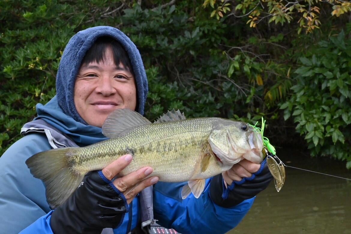 チャートカラーのスピナーベイトで釣れたブラックバス