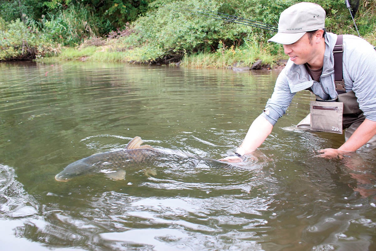 春からの鯉釣り入門 ダンゴとボイリーの釣りを解説！ 後編 | 魚種別