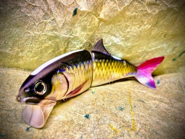 霞デザイン アユクローン ボラコン 激レア 一木ブラック セット 霞デザイン アユクローン ボラコン 激レア 一木ブラック セット