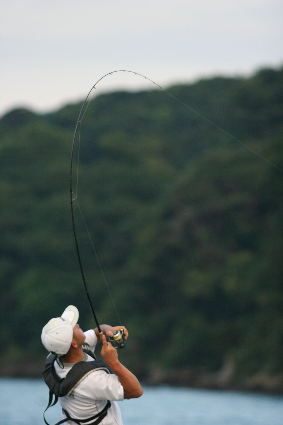 海のルアー釣りに必要なタックル：リール・ライン編 | 魚種別釣りガイド