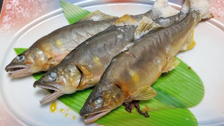 アユ塩焼き