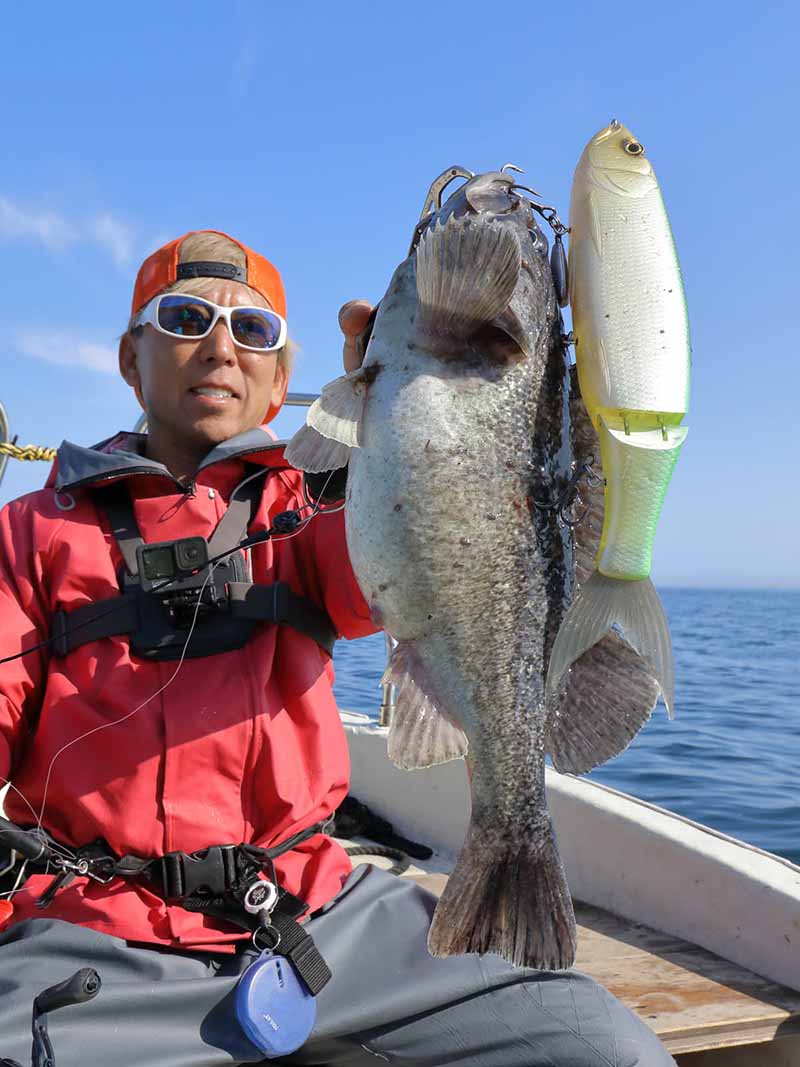 deps】巨大ソイをビッグベイトでねらう【北海道】 | 魚種別釣り