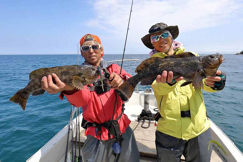 ビッグベイト  デプス  メガバス DRT MEGADOG | Megabass-メガバス