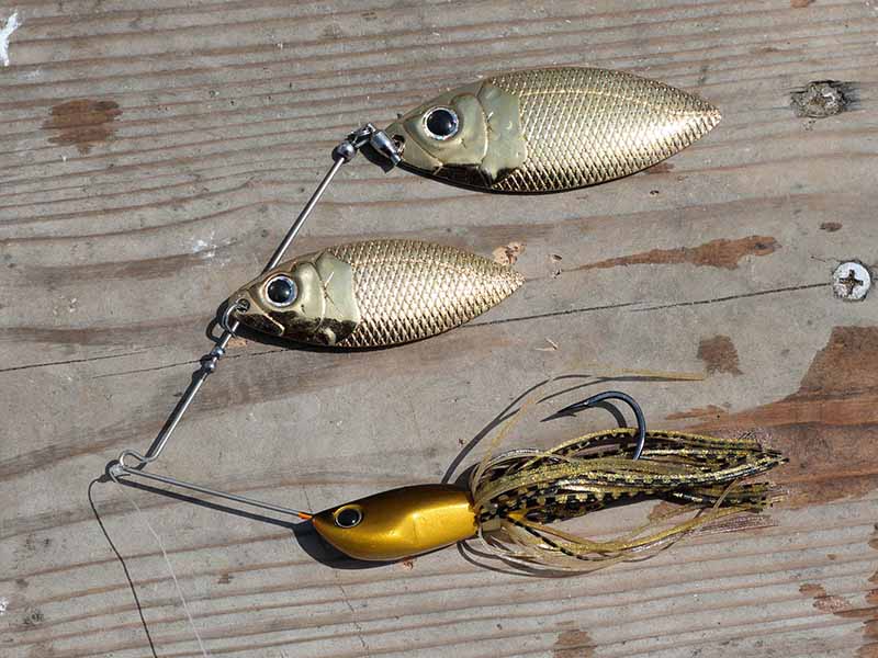 deps】巨大ソイをビッグベイトでねらう【北海道】 | 魚種別釣り