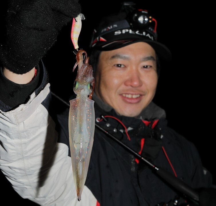 釣れたイカ