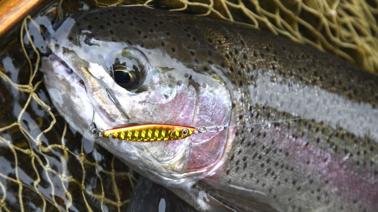 メタルジグ・トンデンジュニアで釣れたニジマス