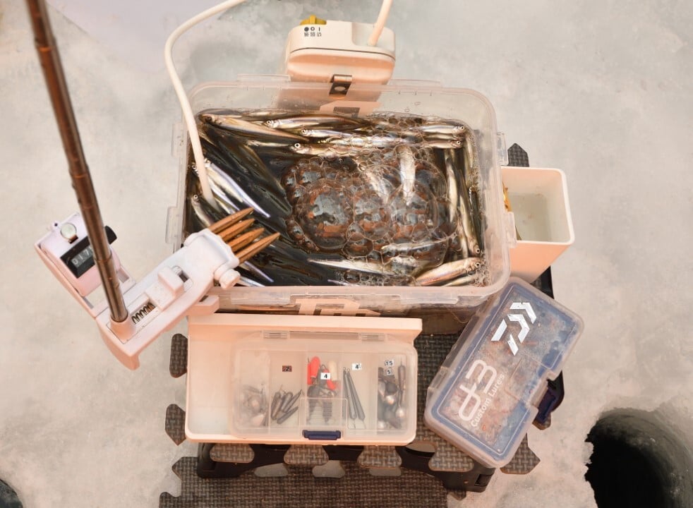 P044-046-04 (カスタム)