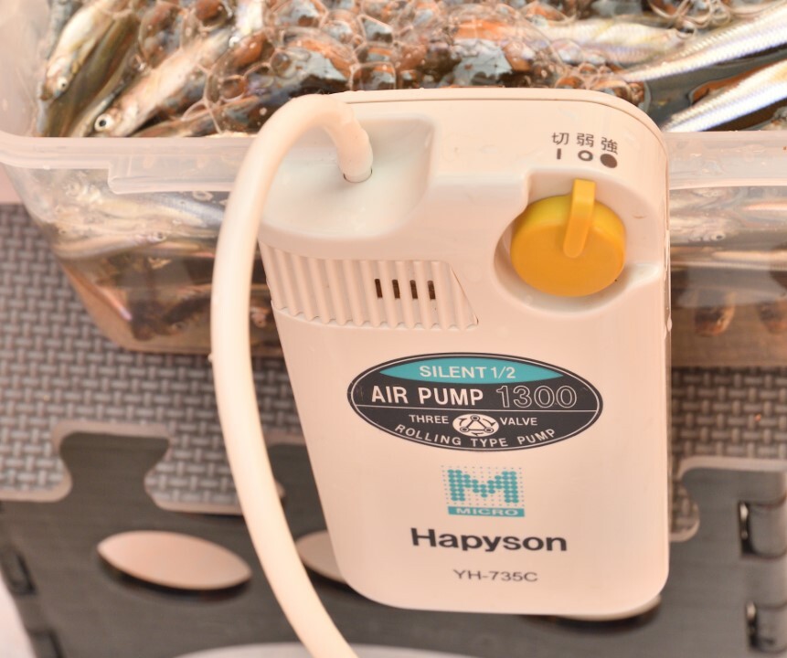 P044-046-05r (カスタム)