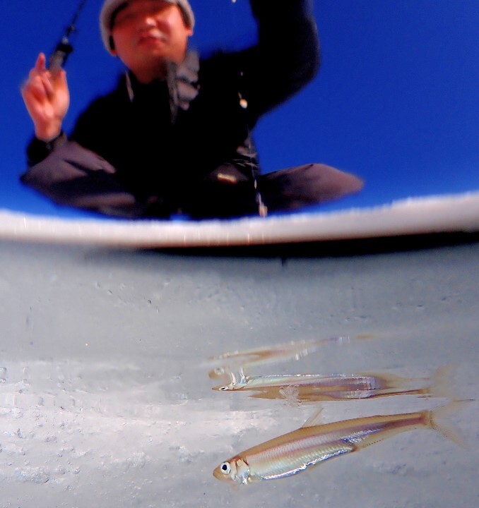 P044-046-18rr (カスタム)