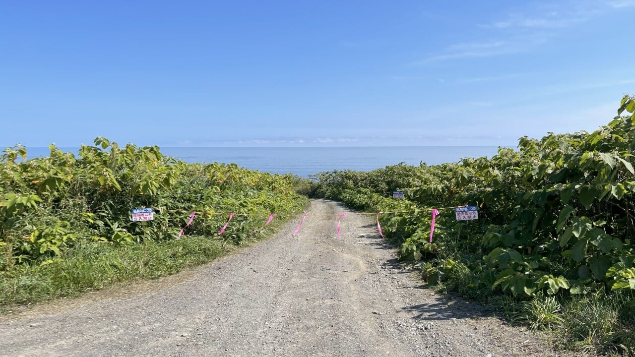 P067-071-A-03 (カスタム)