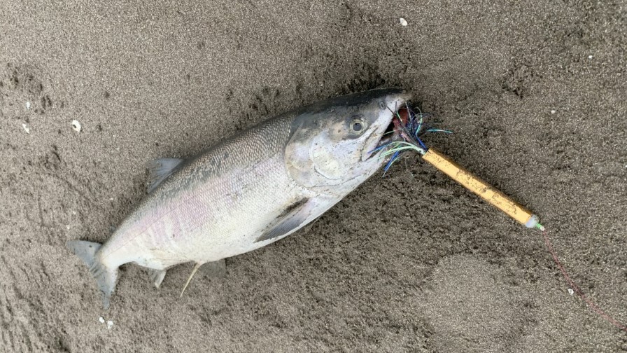 P067-071-A-14a (カスタム) (カスタム)