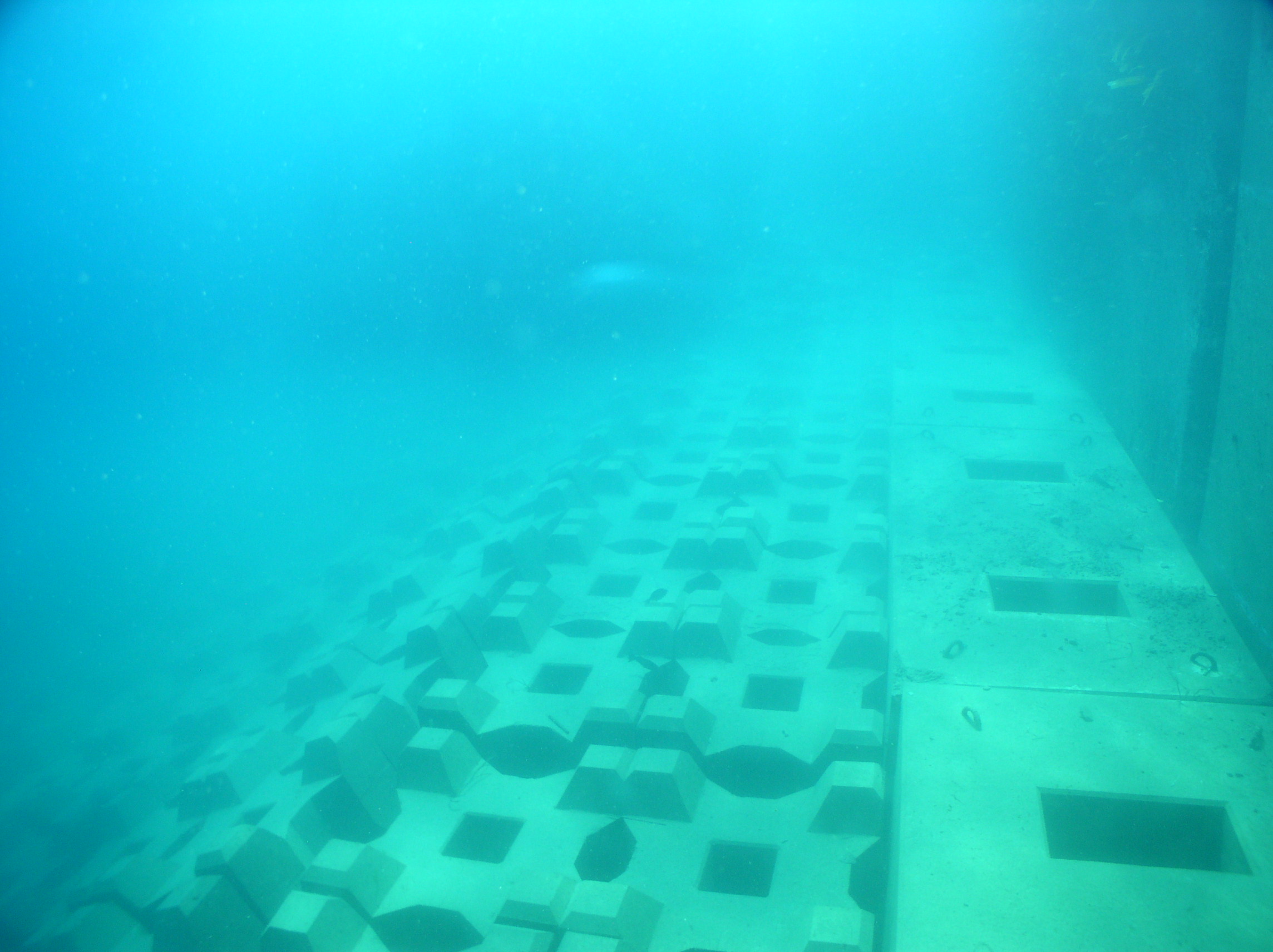 釣れる!防波堤の釣魚と最新仕掛け百科 釣れる！防波堤の釣魚と最新仕掛け百科 - 株式会社 主婦の友社