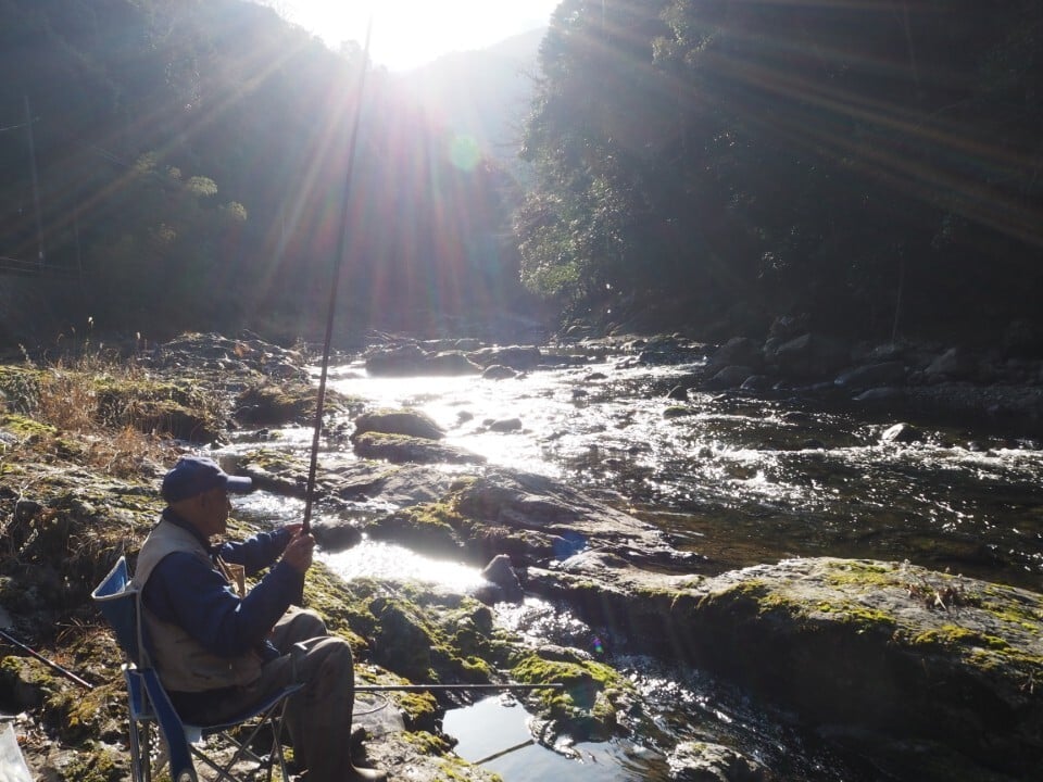 P3084068 (カスタム)-1