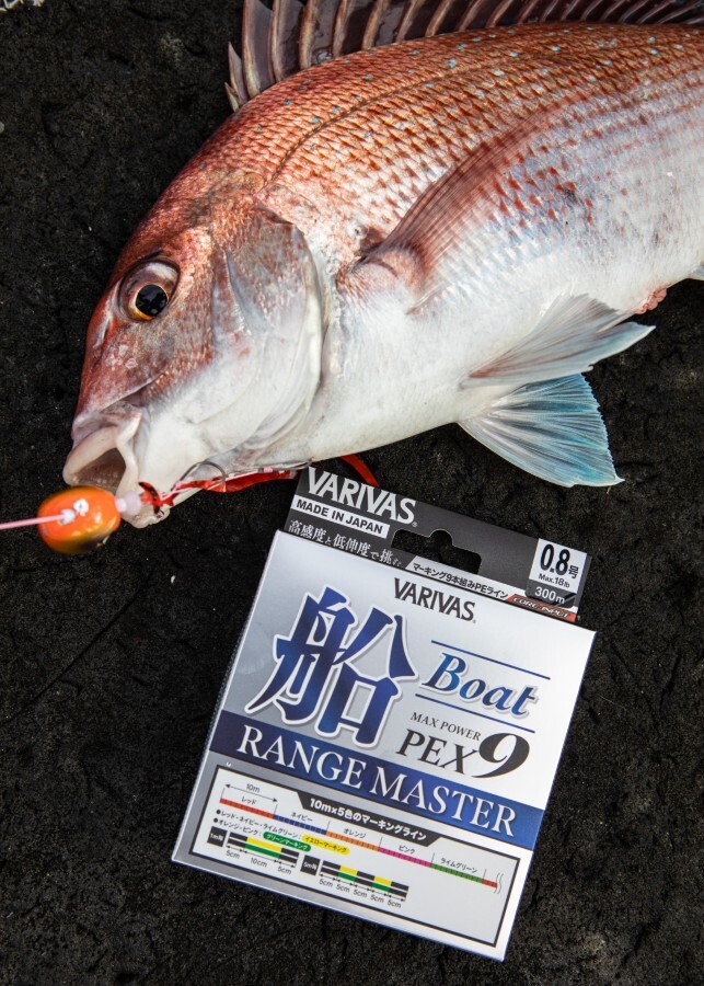 レンジマスター船を使って釣ったマダイ