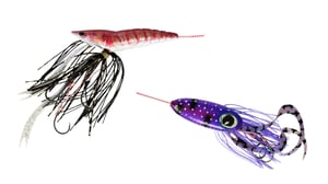 玄界灘から大旋風！遊漁船発のタイラバ「烏賊ラバ」「海老ラバ」の破壊力