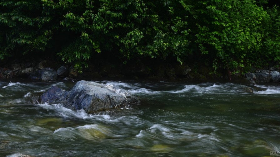 Stream-Slow-sinking-minnow (1)