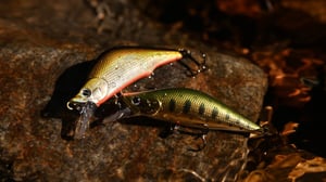 渓流ミノーおすすめ6選＆使い分け術｜名手が教えるアクション・色・レンジに合わせた選び方