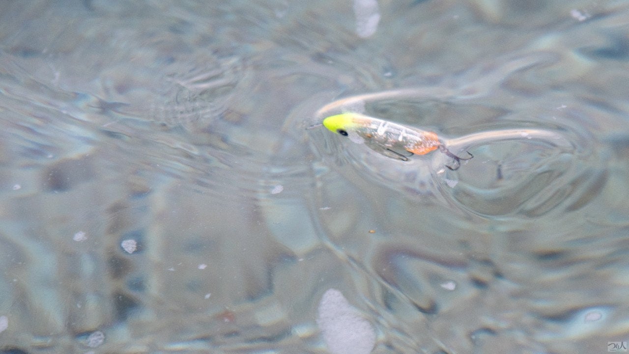 トップウォーター