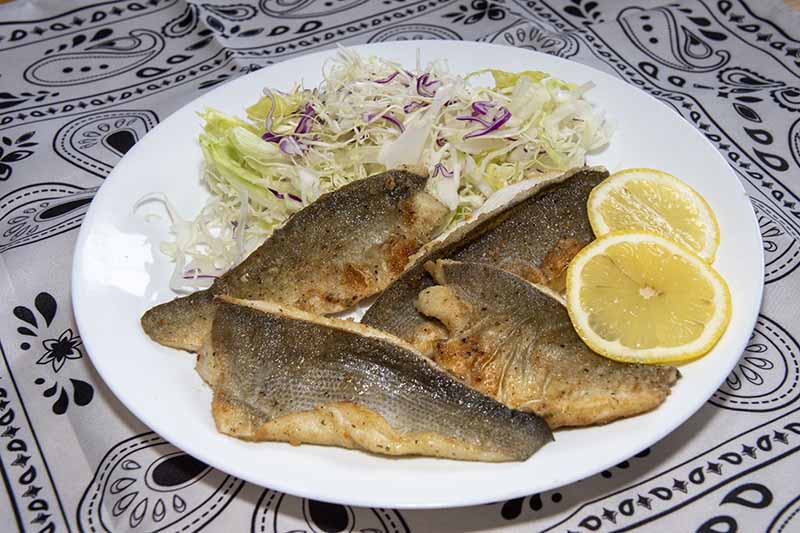 セイゴの捌き方│ムニエルの簡単レシピまで解説 | 美味しい鮮魚料理