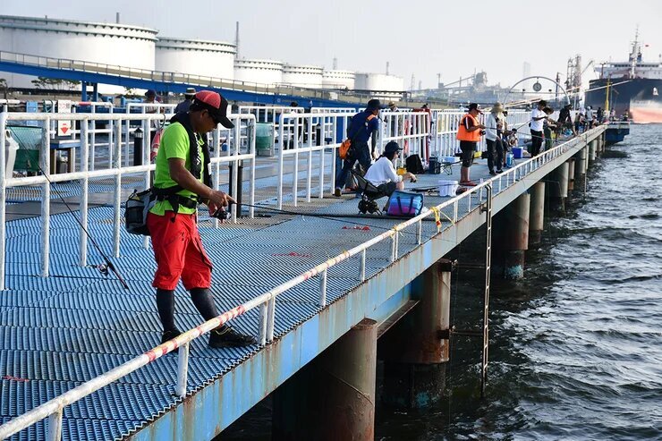 海釣り公園