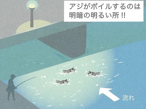 明暗部のイラスト