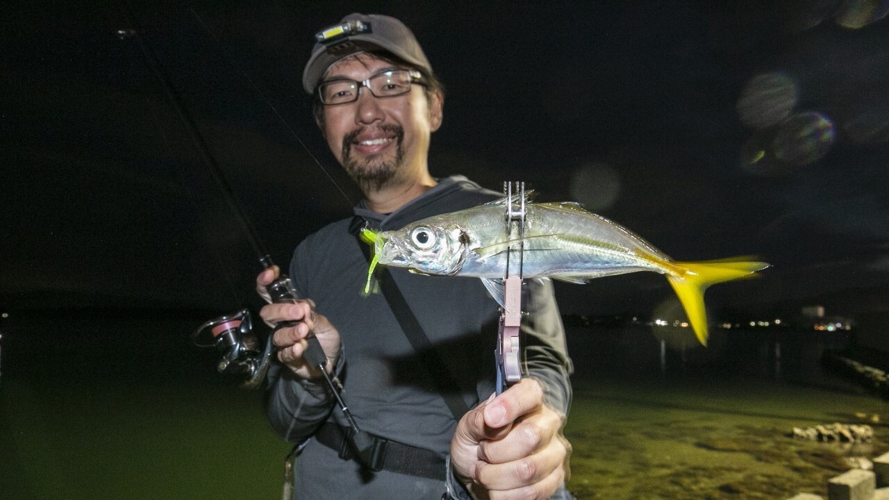 ラグゼ宵姫爽弍S53FL-solidで釣ったアジ