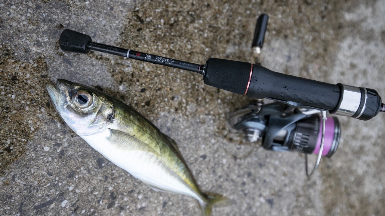 ラグゼ宵姫爽弍S53FL-solid