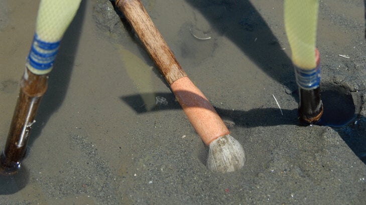 筆が押し上げられたりしたらそれはアナジャコが筆をさわっている合図