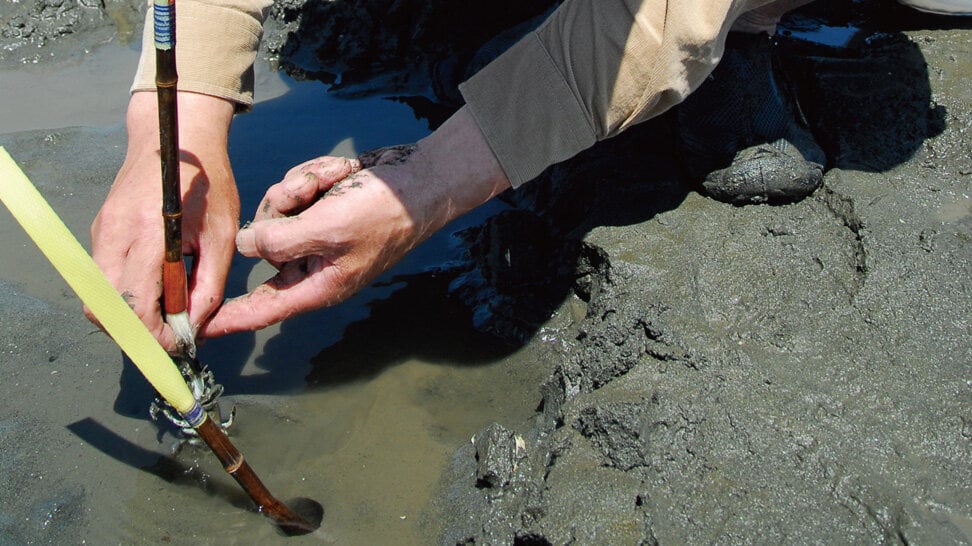 筆先をつかんでいるアナジャコが見えてきたら、逃げられないように指でアナジャコの腕を押さえ込んで抜き上げる