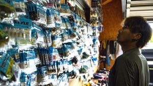 青木大介のワームカラー論。3つの選択基準と魚しか知り得ない真実