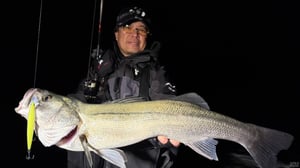 村岡昌憲が「爆発の予感」。アピア新作ミノーはアップもダウンもしっかり泳ぐ【マスターピース120】