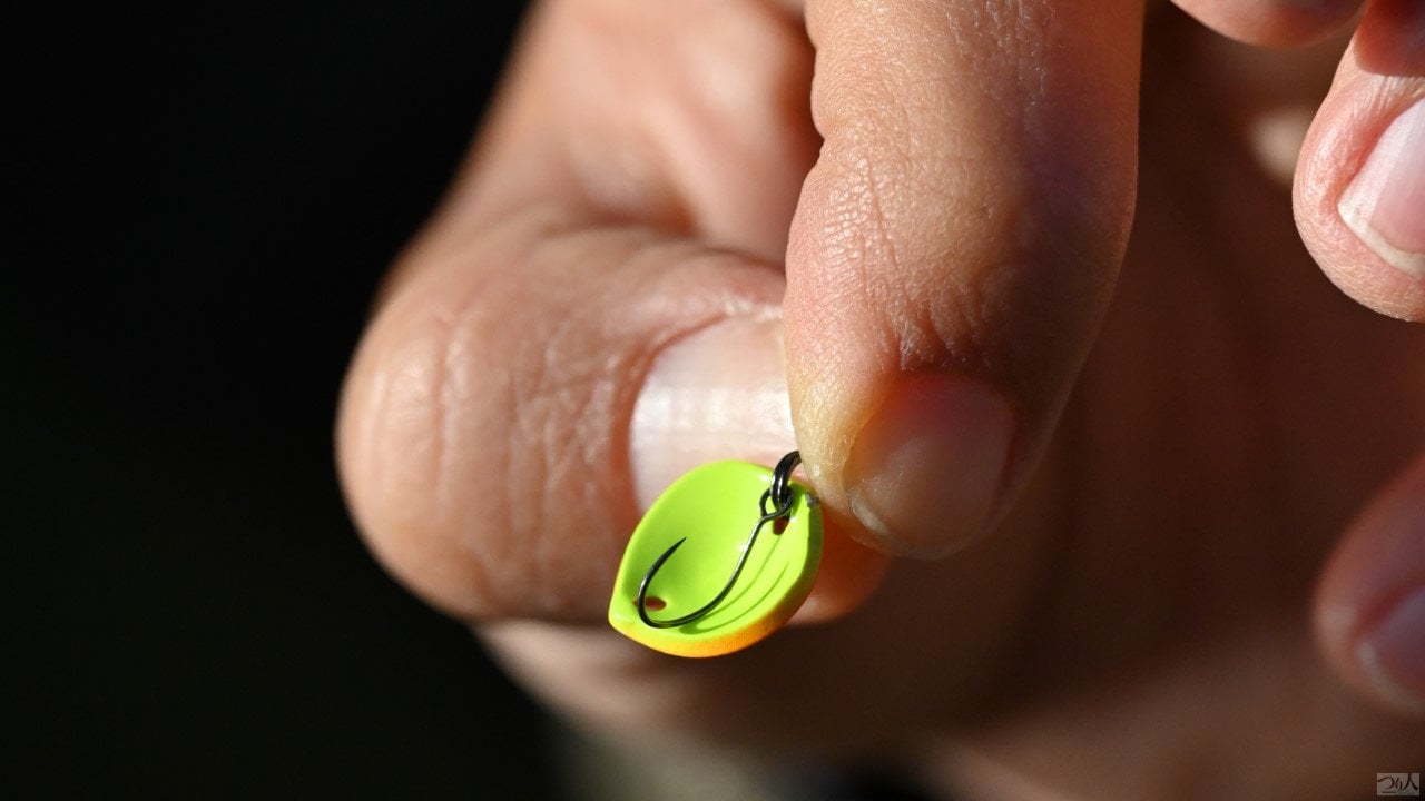 area-trout-front-hooklure (18)