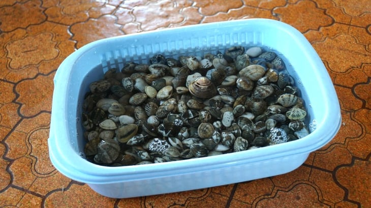 砂抜き中のアサリ