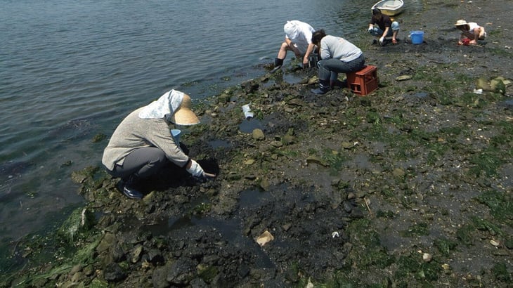 テランと思われる人のねらっているポイントを真似してみるのも有効