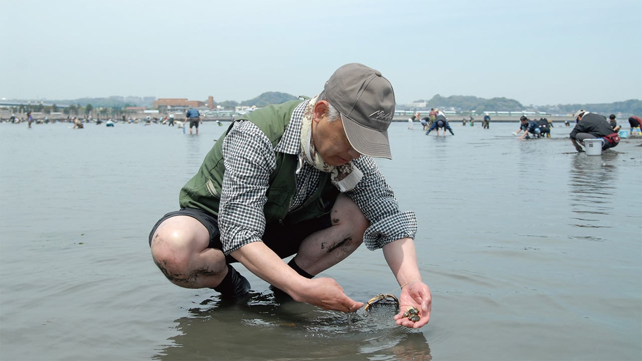 アサリの潮干狩り