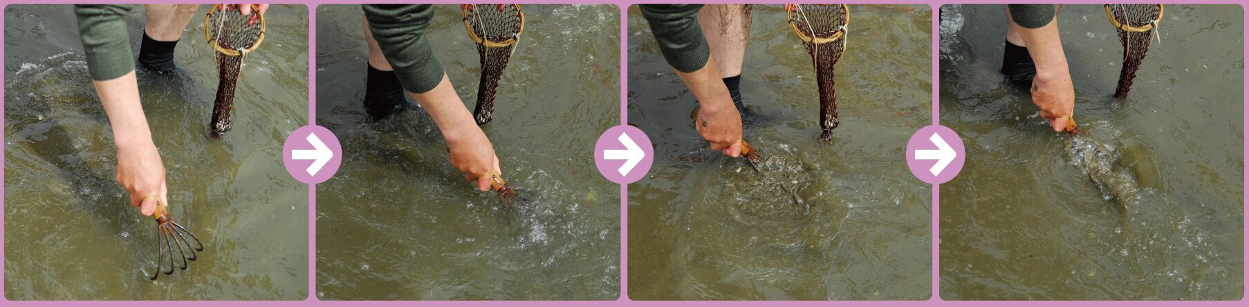 波打ち際を掘り進むアサリの掘り方