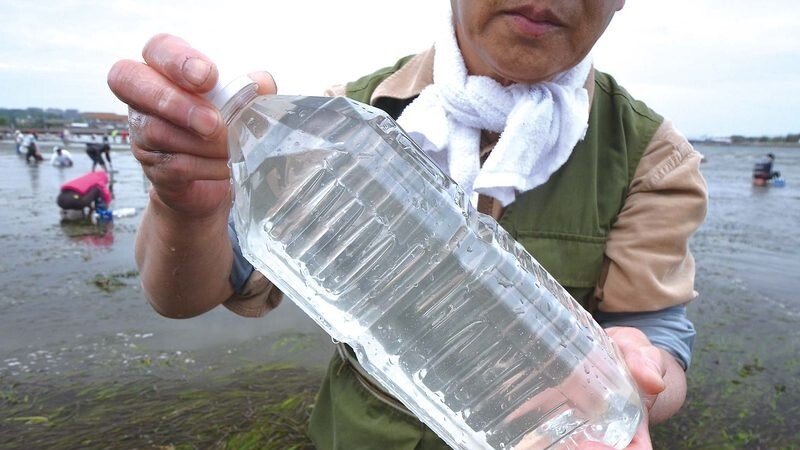 海水をペットボトルに入れて持ち帰る