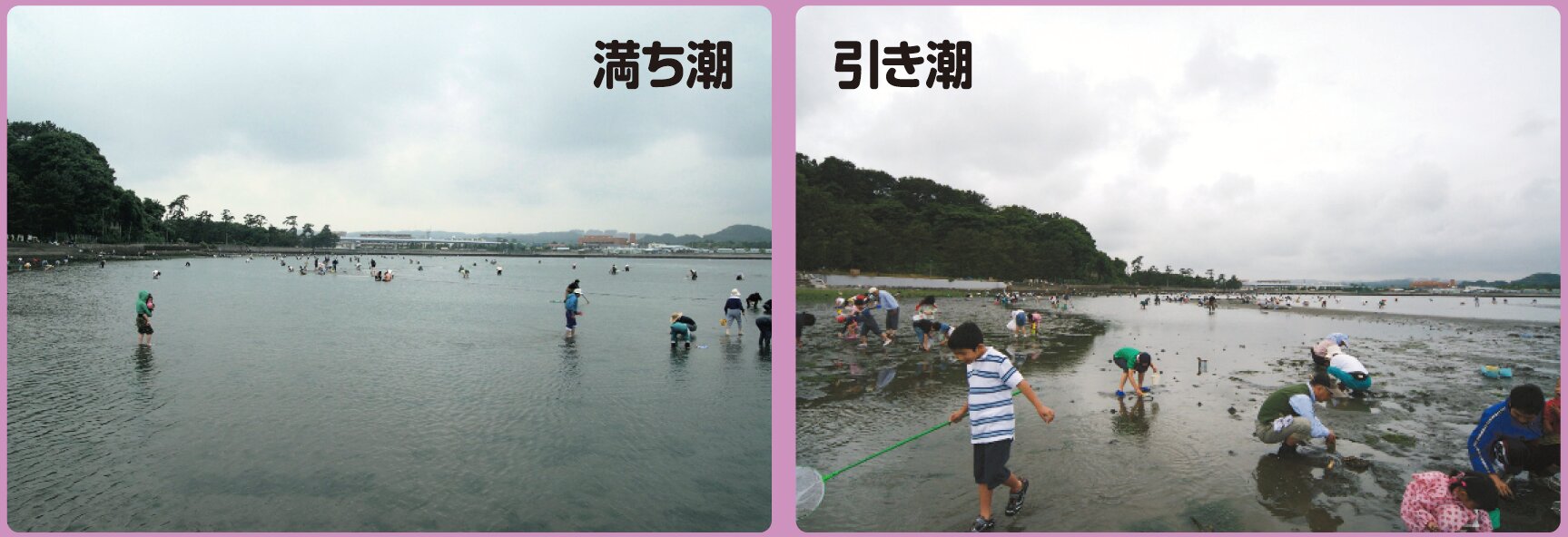 干潮の予定時刻が近くなるにしたがって姿を現わす海底